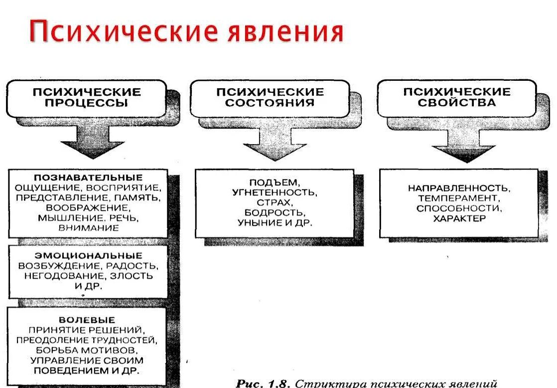 Автор таким образом создает ощущение незаконченности ответы. Психические процессы психические состояния психические свойства. Психические процессы состояния и свойства в психологии. Таблица психические процессы психические состояния. Психические явления структура психических явлений.