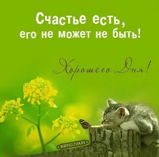 Верь в доброе и хорошее