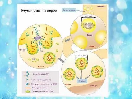 Поджаривание овощей это эмульгация животных жиров