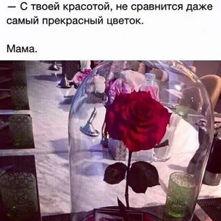 Не сравнится не с кем