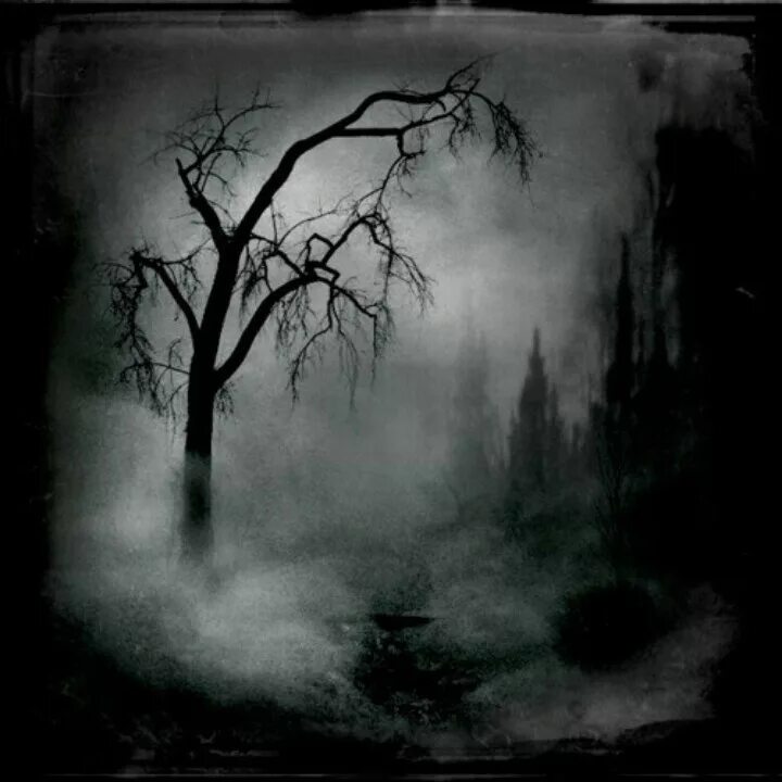 Мрачный пейзаж. Страшный лес. Мрачное дерево. Dark page
