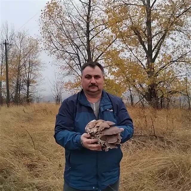 Винников курск. Винников курск