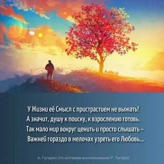 Постигнуть смысл жизни
