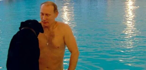 Дмитрий Медведев Голый
