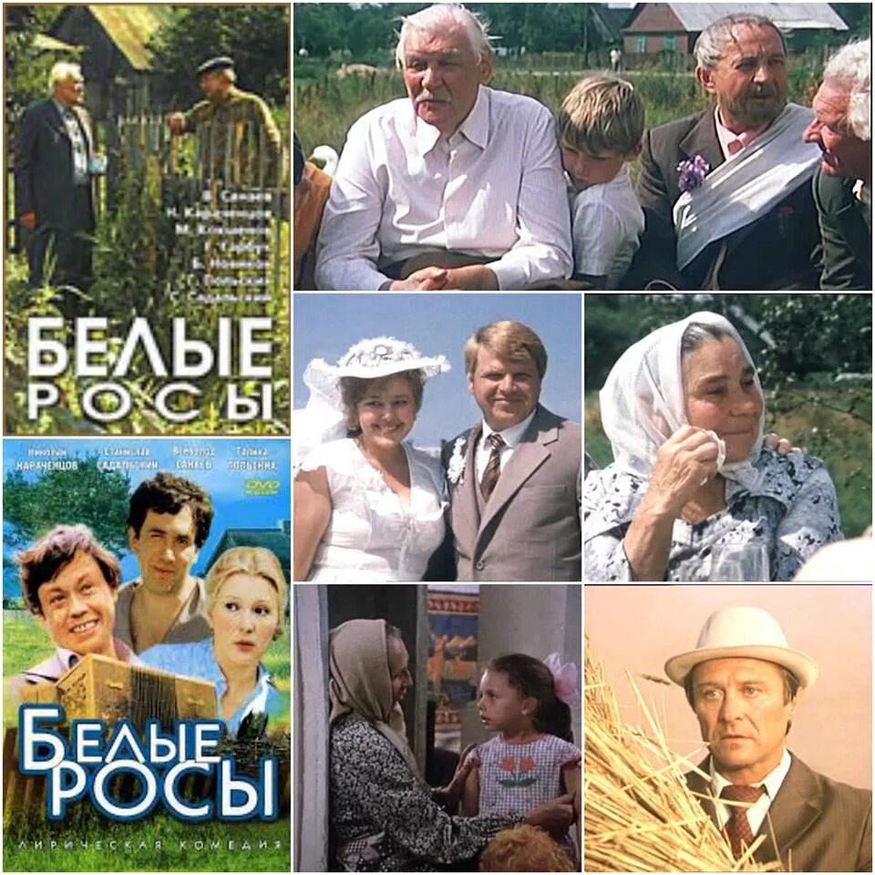4 белые росы. Белые росы 1984. белые росы 1983 постер. белые росы афиша. фильм белые росы картинки.