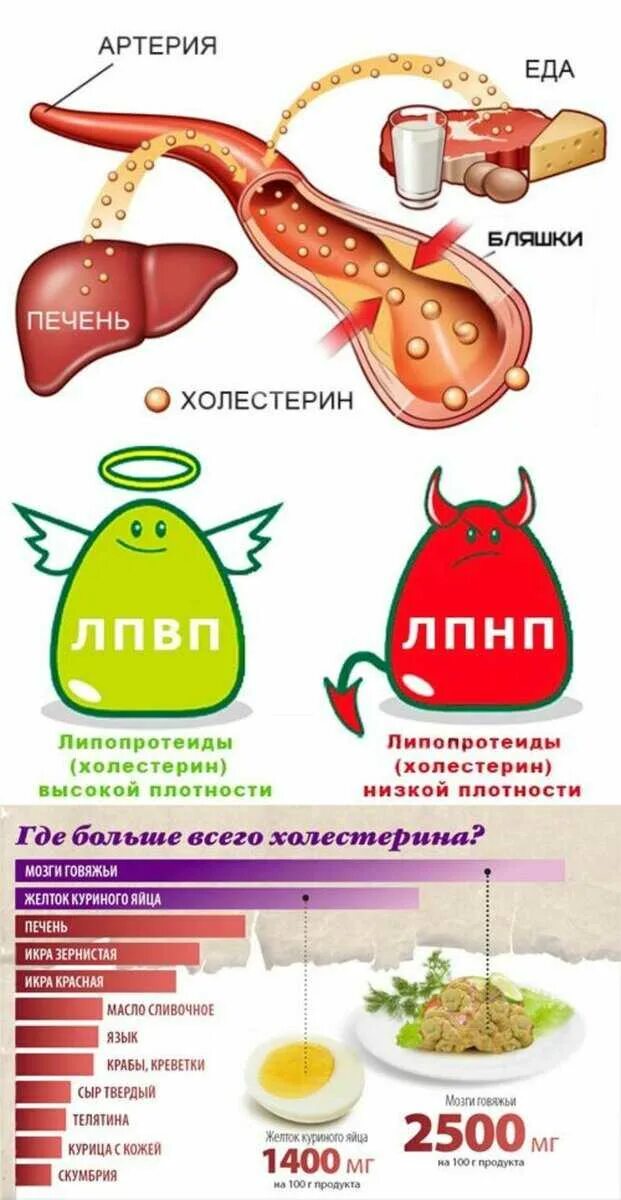 Холестерин. Холестериды. Уровень холестерина. Высокий холестерин в крови
