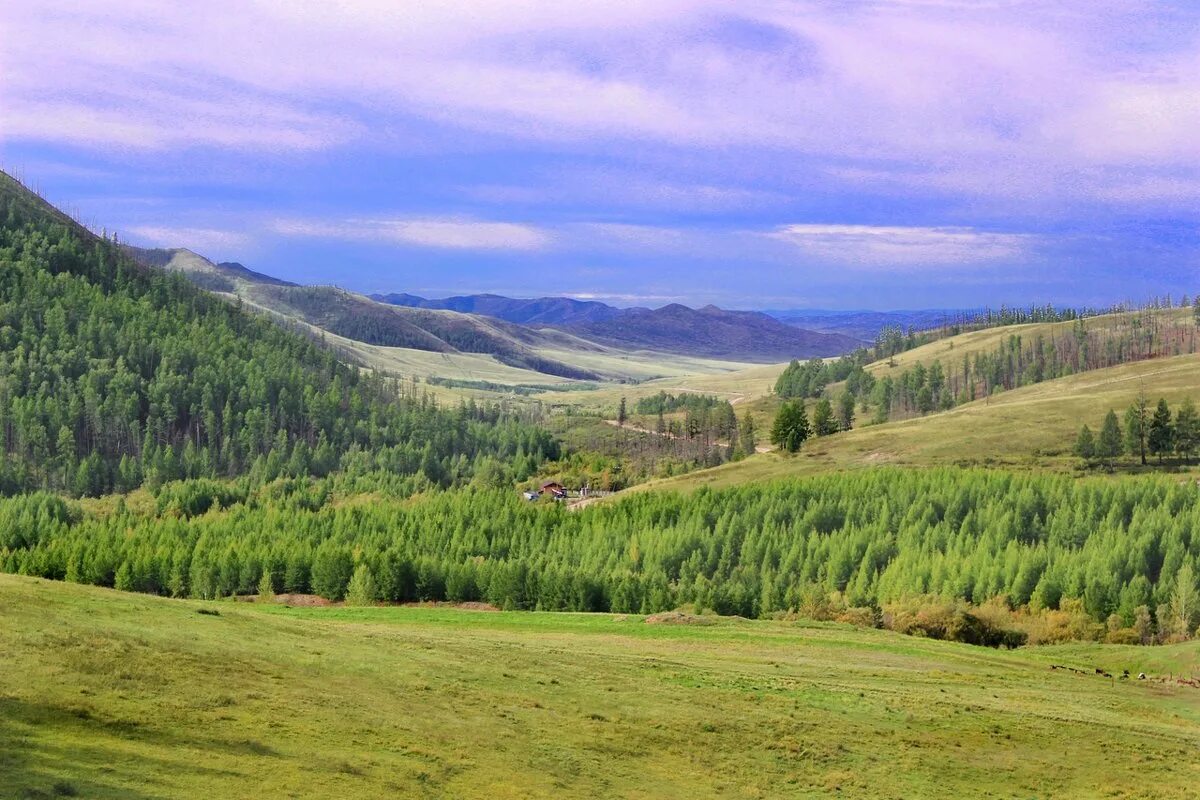 заповедники тывы. тоджинская котловина. озеро азас республика тыва. заповедник азас республика тыва. тоджа жемчужина тувы озеро азас.