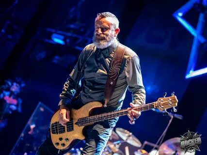 Tool 2019