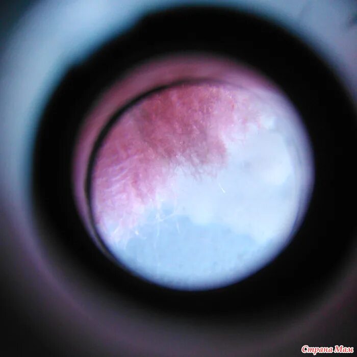 Увеличение 60. Увеличение 60. Магазин 2 рубля. Луна 60 кратное увеличение. Увеличение 60.