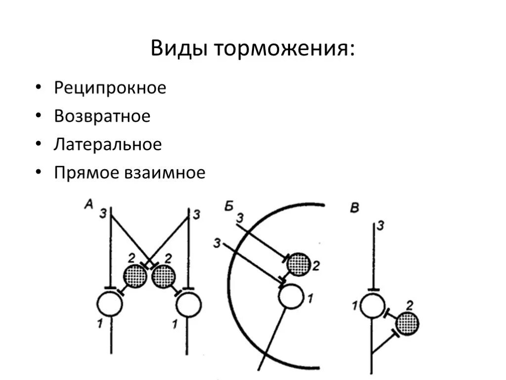 Реципрокное торможение схема. Схемы реципрокного и возвратного торможения. Схема реципрокного торможения механизм. Реципрокное возвратное и Латеральное торможение. Возвратное торможение