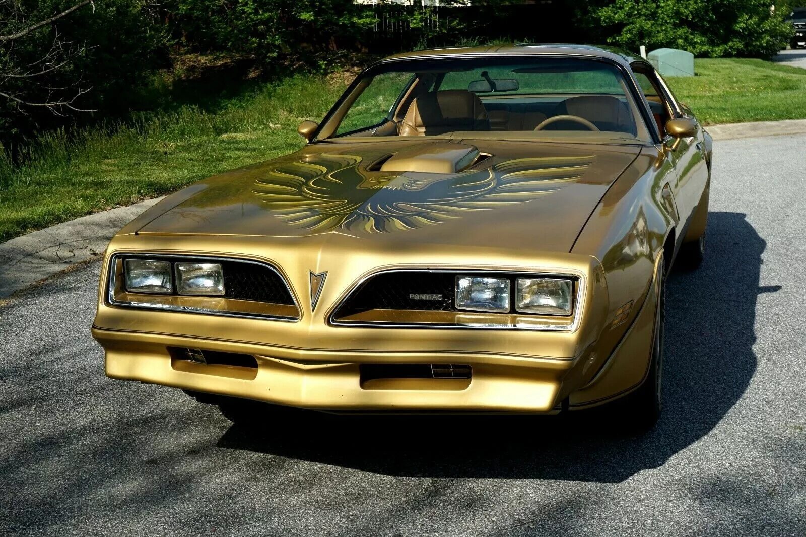 Понтиак фаербёрд 1980. Pontiac firebird trans am 1977. Pontiac firebird trans am. Понтиак файрберд 1978. Wayne cars.