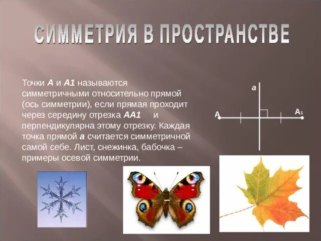 Математика 6 класс симметрия относительно точки. Симметричные фигуры в жизни. понятие симметрии в пространстве. симметрия в пространстве геометрия. симметрия относительно прямой в пространстве.