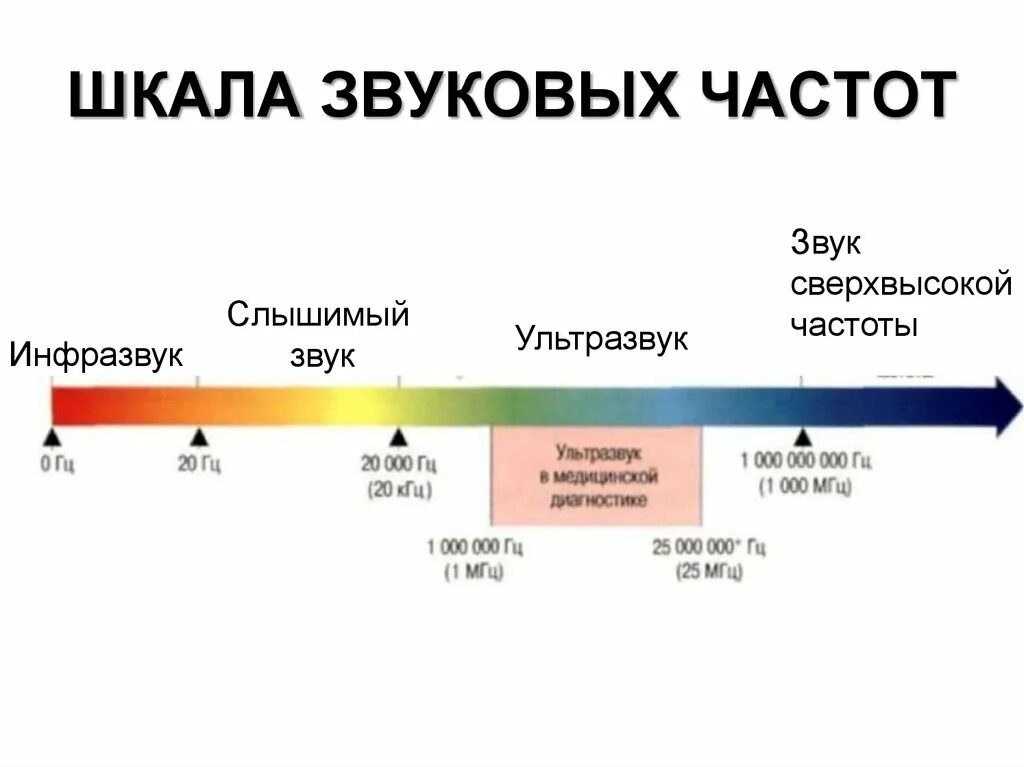 Какие частоты воспринимает человек