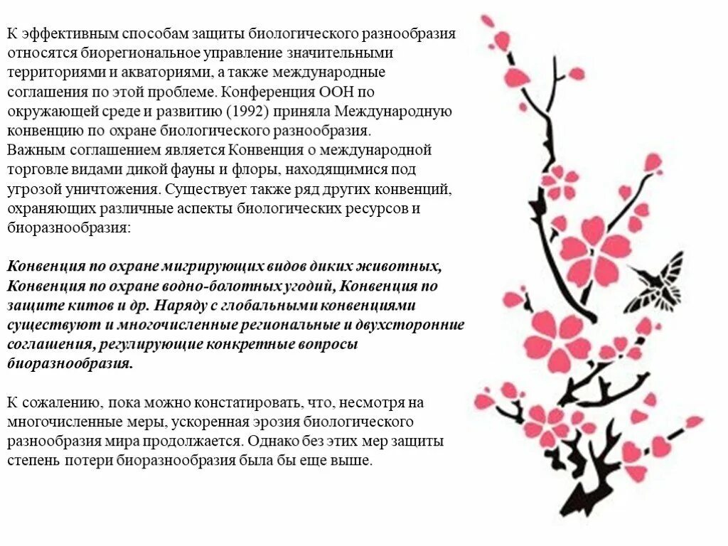 Пути сохранения биологического разнообразия. Доклад на тему:"пути сохранения биологического разнообразия". Способы защиты биологического разнообразия. Биологическое разнообразие и пути его сохранения рисунок.