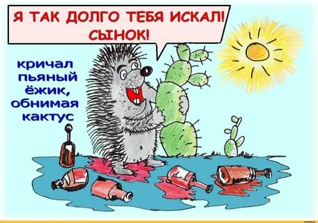 День пьяного ежика