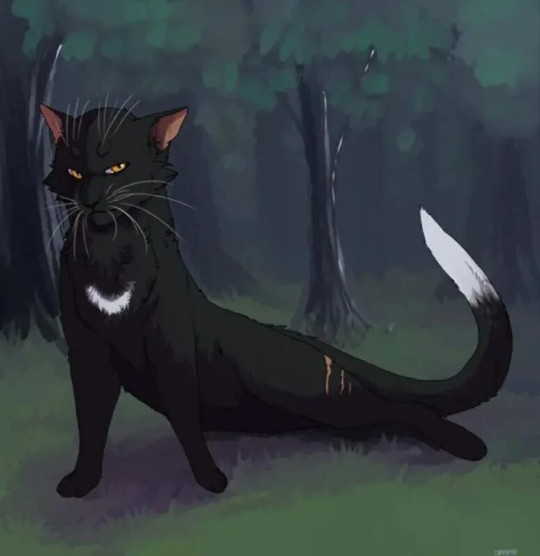 отверженные эрин хантер книга. коты воители неистовая буря. читать темные воители.