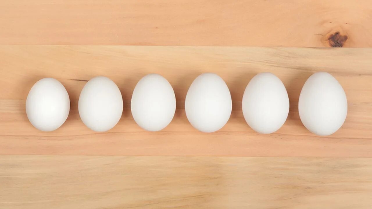 6 грамм яиц. Размер Egg. Яйца всех размеров. Яйцо Orka. Какие бывают яйца.