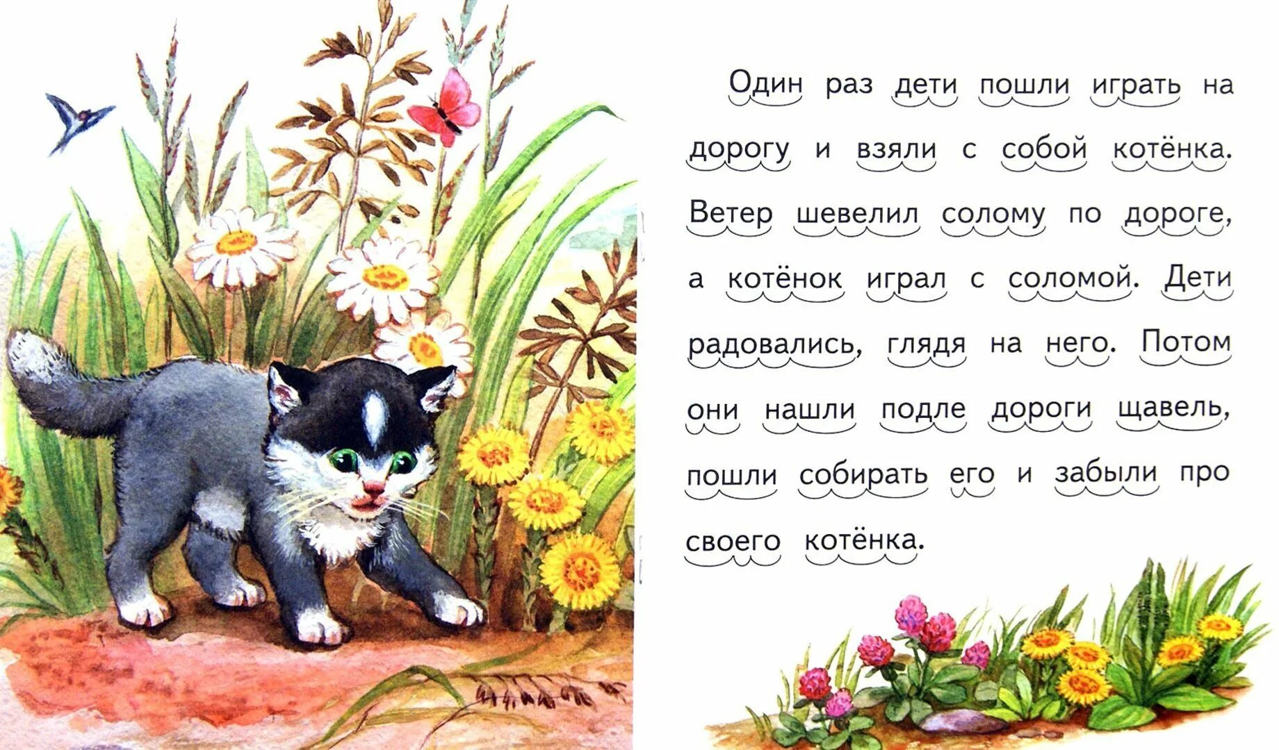 Толстой котенок сколько страниц. Лев николаевич толстой котенок. сказка толстого котенок. рассказ льва николаевича толстого котенок. толстой лев николаивич котёнок.