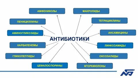 Антибиотики аминогликозиды макролиды тетрациклины