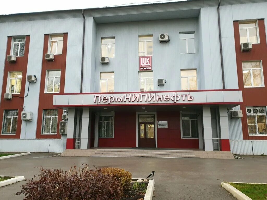 Колледж искусств и культуры пермь. Пермь улица букирева 15 пгниу. Пермский промышленно-коммерческий колледж. Лицей 1 пермь. Пермский краевой колледж оникс пермь.