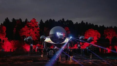 Signal 2024