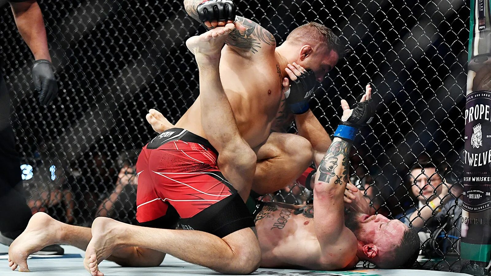 Макгрегор ufc 303. Конор макгрегор цска. конор побил снеговика.