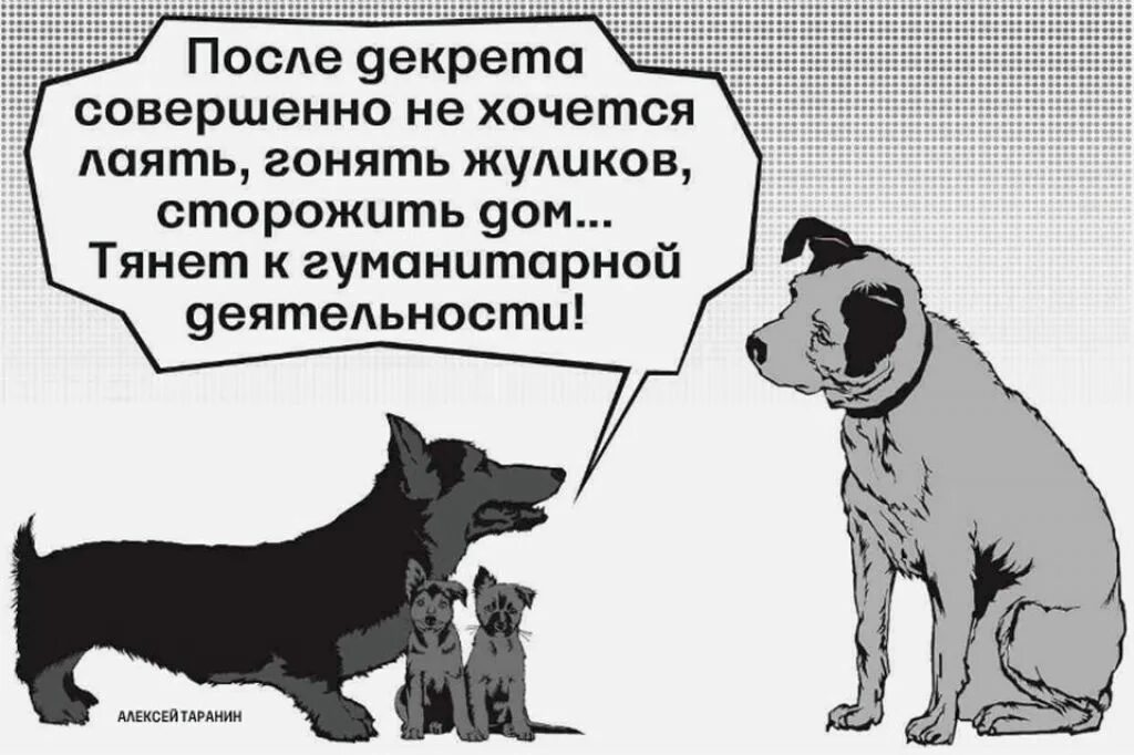 Совершенно не хочется. С первым рабочим днём после декрета. Первый рабочий день после декрета приколы. На работу после декрета приколы. Первый день на работе после декрета.