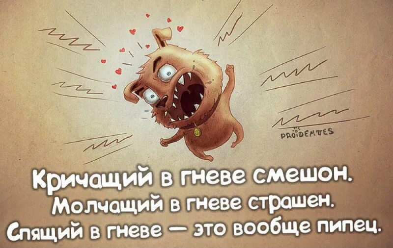 Королева драмы мем. Смешные коты с надписями. Юмор в картинках про животных. Котенок смотрит в зеркало. Смешные картинки с надписями.