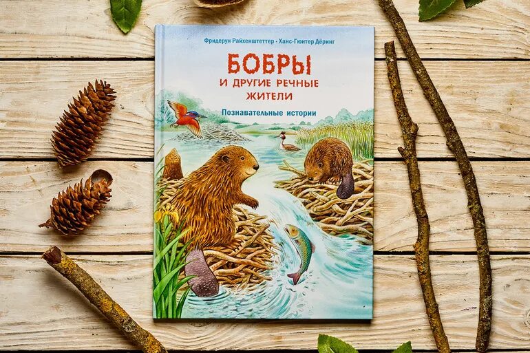 Бобровая книги. Бобровая книги. Бобр с книгой. Детская книга про бобра. Детские книги про бобра.