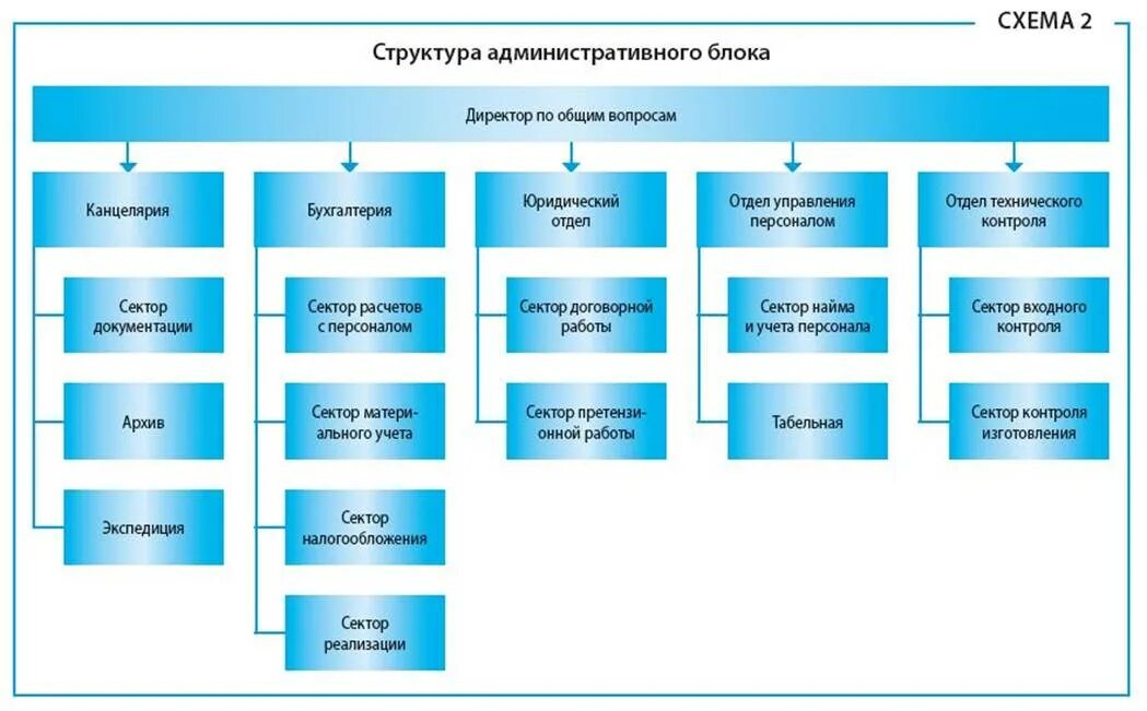 Отделы нервной системы. Отдел делиться. Схема деления головного мозга. Схема организационной структуры подразделения. Отдел делиться.