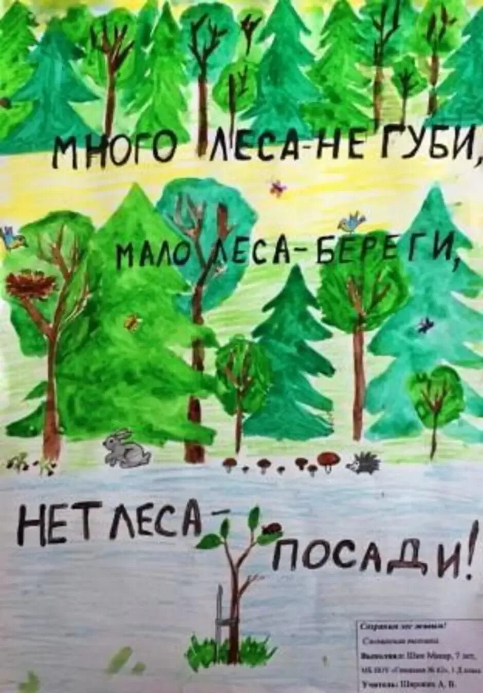 Сохраним лес от пожара. Всероссийская акция «сохраним лес» вологда. Сохраним лес от пожара. Национальный проект сохранение лесов. Сохраним лес от пожара.