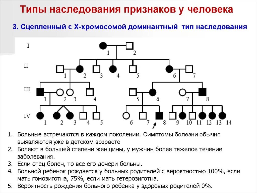 По какому признаку родственника. Родословная типы наследования. 1.Доминантный-аутосомно Тип наследования. Родословная с аутосомно-доминантным типом наследования. Родословные генетика Тип наследования.