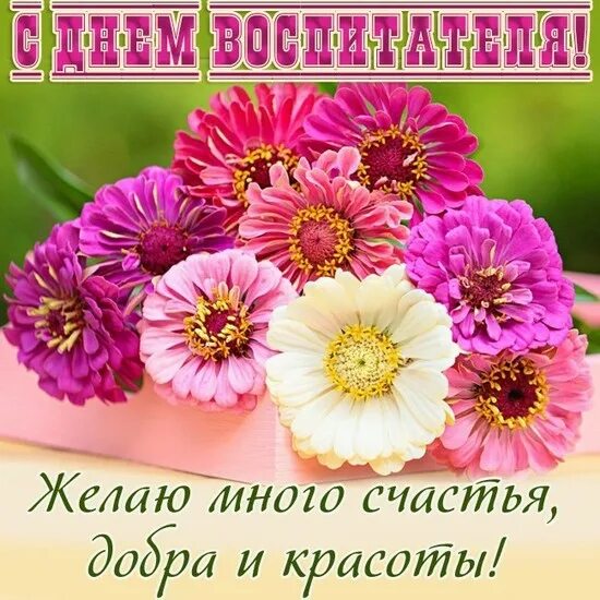 27 дошкольного работника. 27 дошкольного работника