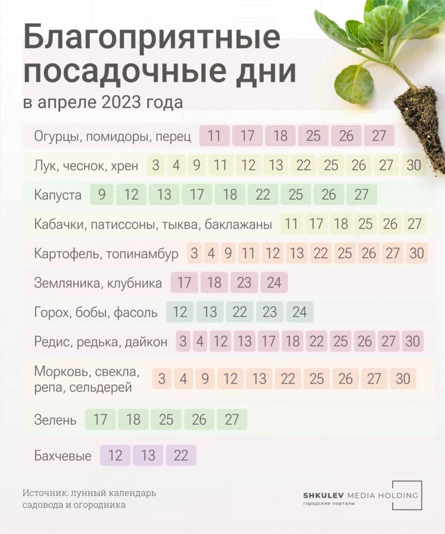 Лунный календарь посадки огурцов на 2024 год. Благоприяныедни для посева. календарь благоприятных дней для посадки. удачные дни для посева. благоприятные дни для посадки семян на рассаду.