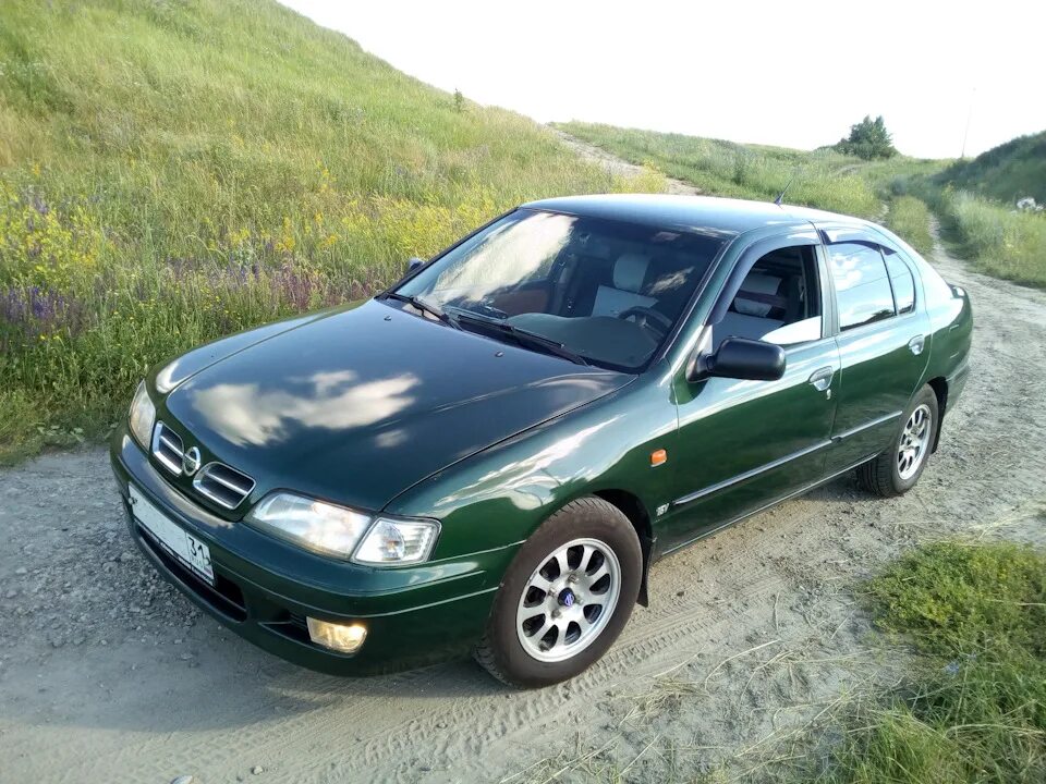 Ниссан примера р11. Ниссан р11 1997. Ниссан премьера п 11. Nissan primera p11 зеленая. П 11 отзывы