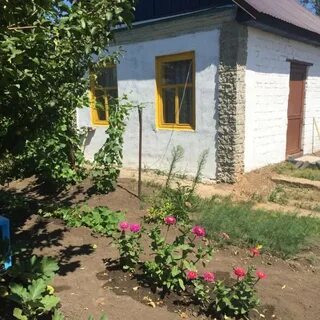 Продать дачу в оренбурге