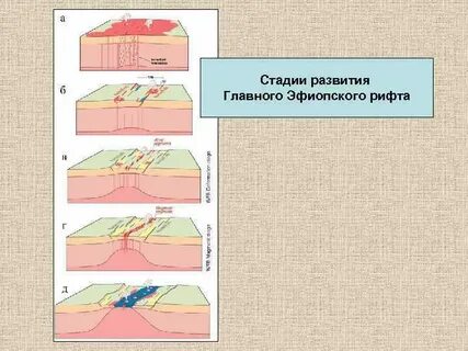 Динамическая зона
