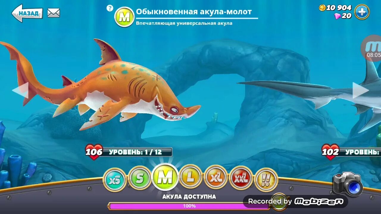 Как победить краба в hungry. Акула молот игра. Hungry Shark акула молот. Hungry Shark World задания акулы молот.