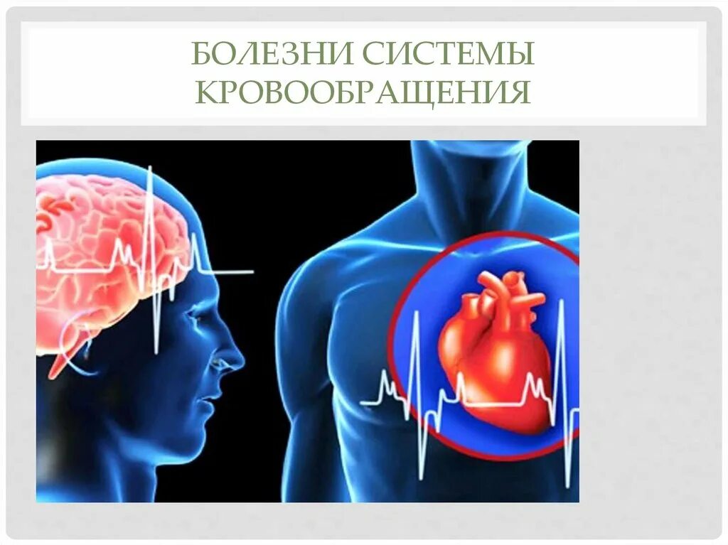 Система органов кровообращения болезни. Болезни системы кровообращения. Заболевания системы кровообращения презентация. Неинфекционные заболевания системы кровообращения. Заболевания системы кровообращения и их профилактика..