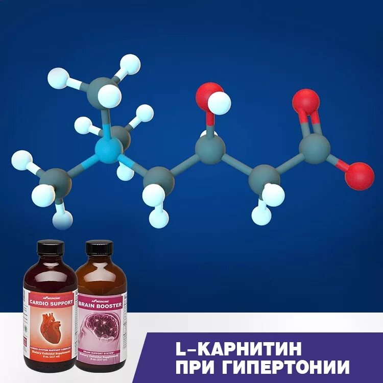 Кардио саппорт