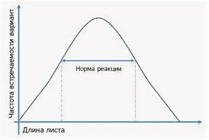 Норма реакции на графике. Норма реакции модификационной изменчивости. Кривая норма реакции. Норма реакции график.