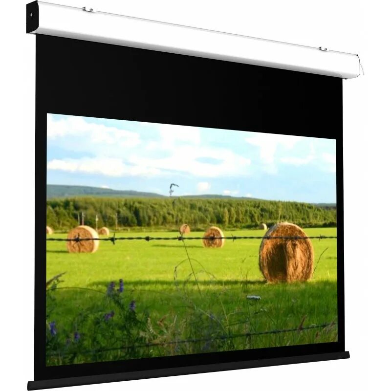 Screen int