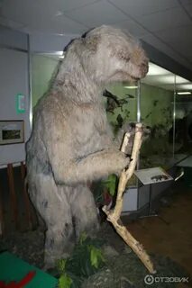 Выставка гигантов