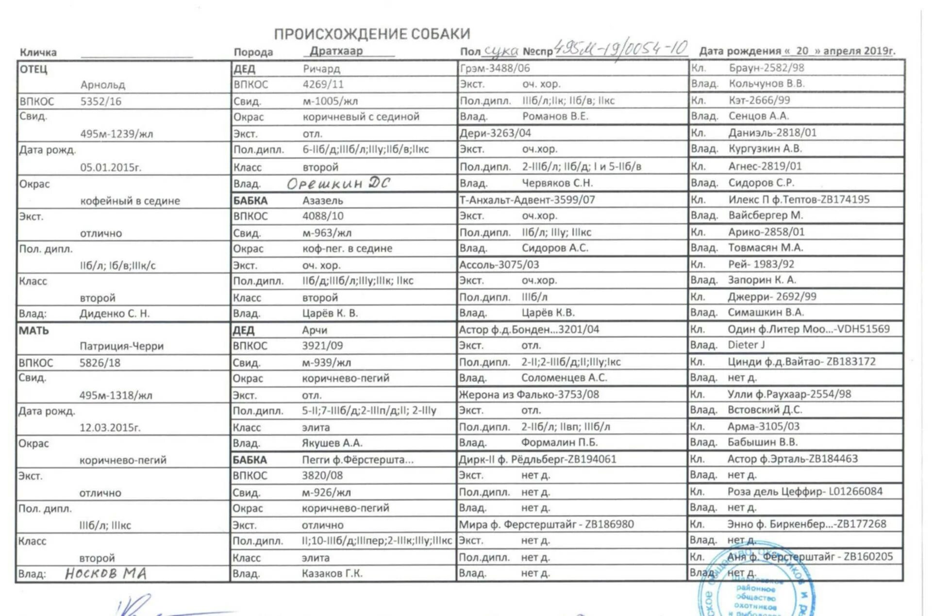 Кличка собак форум. Клички дратхааров кобелей. клички для дратхаара девочек собак. клички для охотничьих собак девочек дратхаар. клички собак дратхаар кобелей.