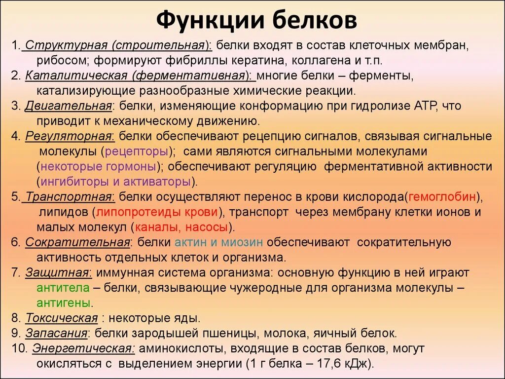 Функции белков биология 8 класс. Назовите биологические функции белков. Характеристика функций белков. Перечислите биологические функции белков. Пояснить главную функцию белков