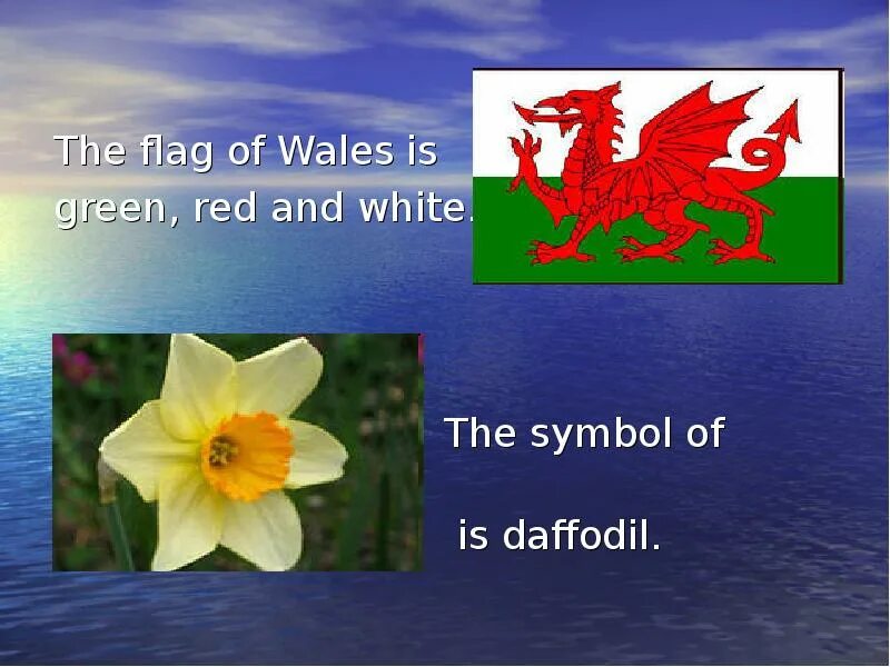 Symbol of wales