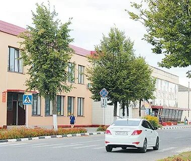 Чашники москва