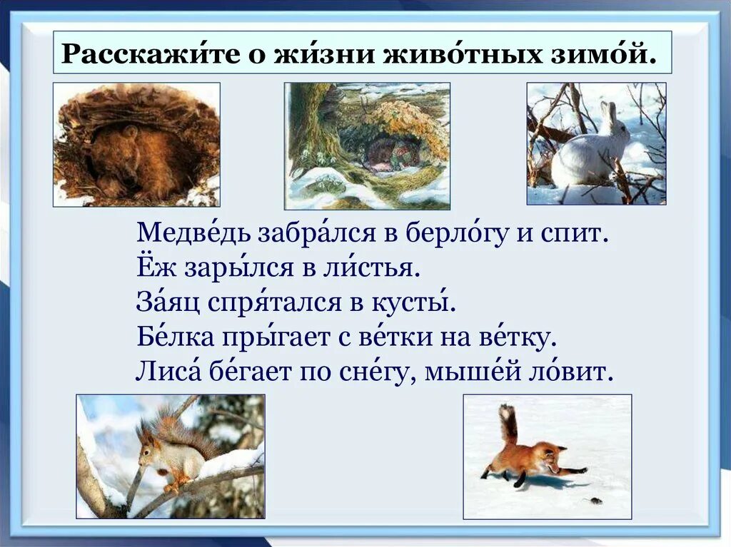 Жизнь животных зимой 2 класс. Животные зимой презентация. Как зимуют животные. Звери зимой 2 класс. Изменения животных зимой 5 класс биология