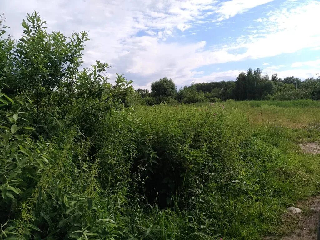 Земельный участок в раменском. Участок земли в раменском. Участок земли в раменском. Кузнецово москва. Участок земли.
