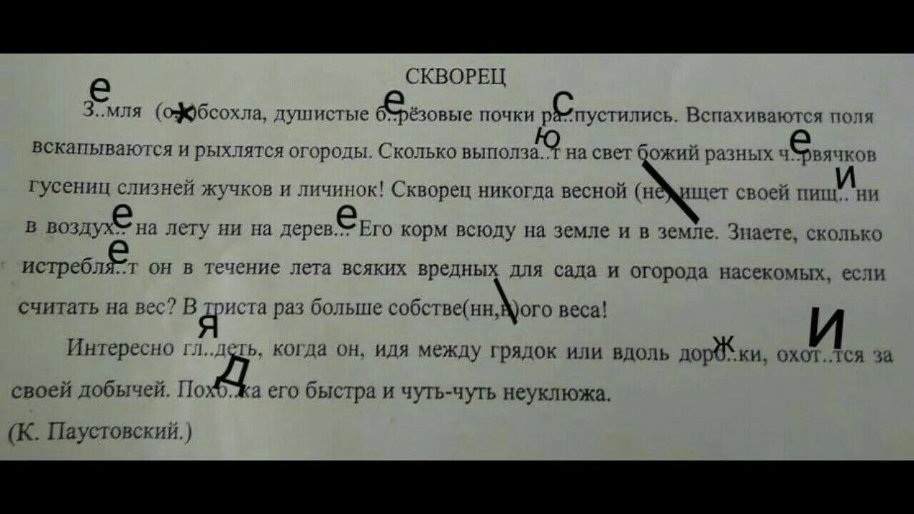Почки на деревьях весной. На иве распустились почки бальмонт. Каштан распускается почки. Березовые бруньки и березовые почки. Скворец земля обсохла душистые березовые почки распустились.